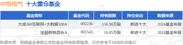2月12日中恒电气涨1002%大成360互联网+大数据100A基金重仓该股(图1)