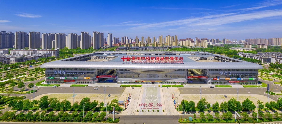 亳州市市长秦凤玉：向“新”发展提升“世界中医药之都”竞争力(图3)