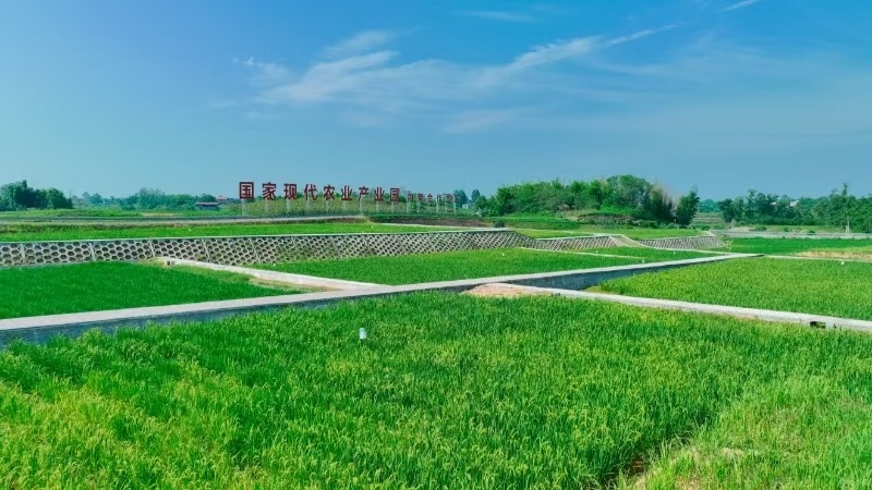 三个关键词解读隆昌市产业突围密码(图3)