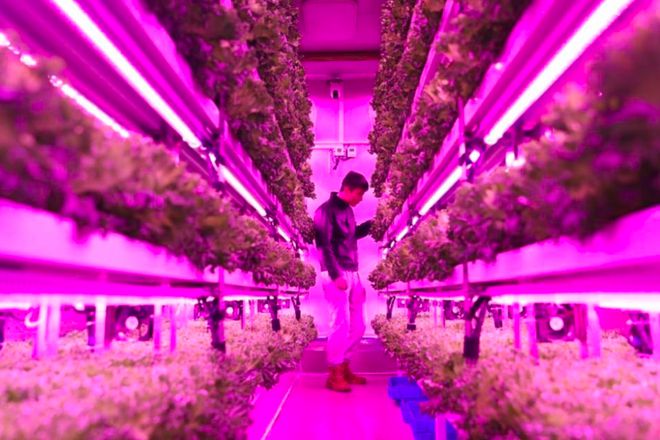 拼多多高质量发展战略显效2024全年营收3938亿(图2)