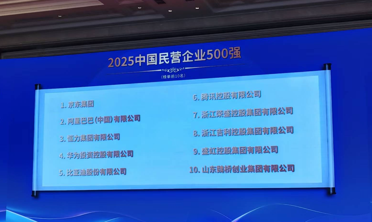“2025民营企业500强”出炉：腾讯、荣盛控股、比亚迪为纳税三强(图1)