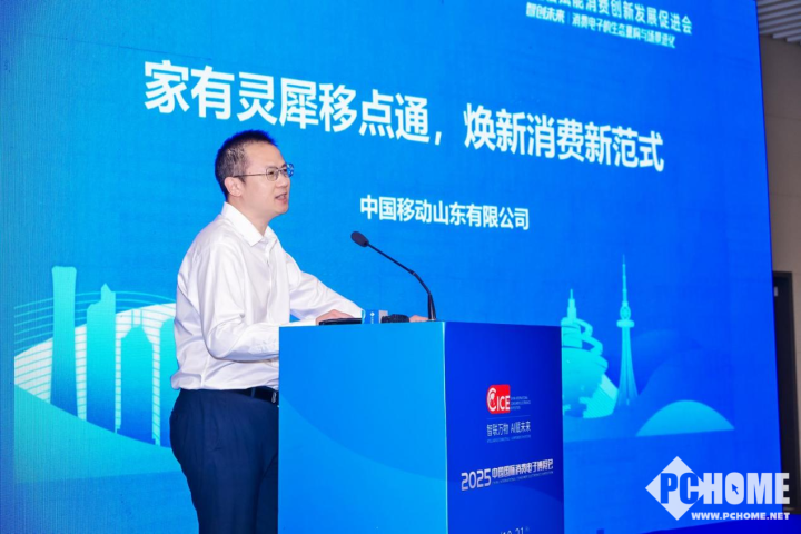 智创未来・融合共生！信息通信赋能消费创新发展促进会在青岛圆满召开(图7)