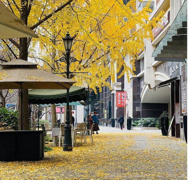 金色贝拉维(2025年11月金色贝拉维)首页网站-楼盘详情-户型配套房价-户型-小区环境楼盘详情(图7)