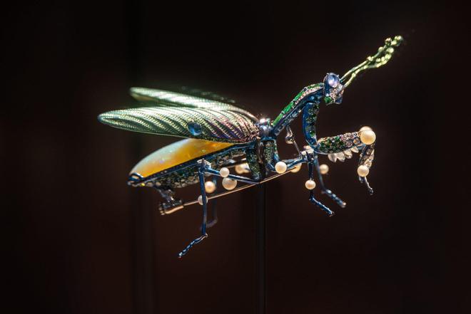 新消费派丨Z世代重塑珠宝行业发展逻辑顺应趋势方能脱颖而出(图4)