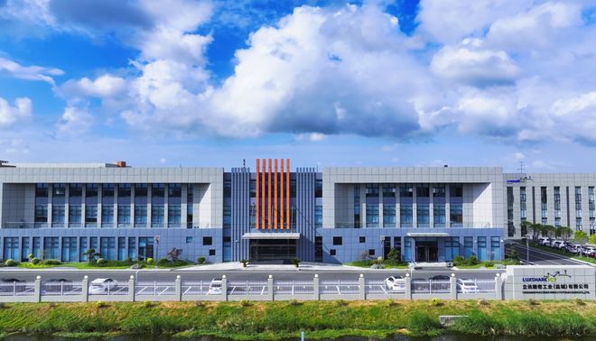 熊猫体育网站：攀高向新射阳绘就产业发展新图景！(图4)