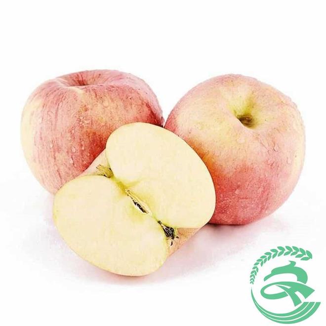 东莞首宏蔬菜配送新鲜直达、合规溯源2026年3月值得选！(图2)