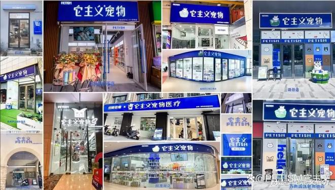 苏州同宠线上培训靠谱吗？深度解析行业新锐的成长密码(图2)